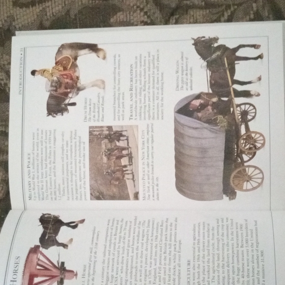 The  Dorling Kindersley Handbook of Horses Paperback - Picture 4 of 4